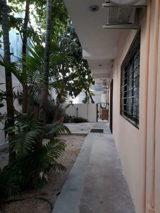Estudio En Cancun Centro Bagian luar foto